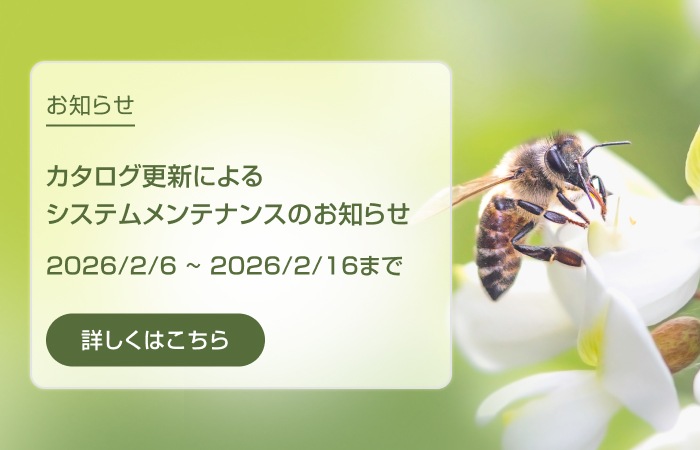 カタログ更新に伴うシステムメンテナンスのお知らせ