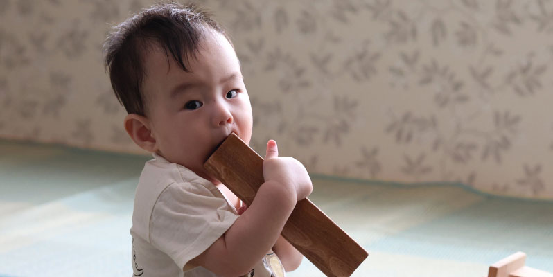 誤飲の危険のない大きさ