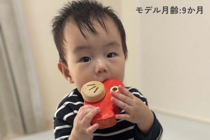 “めでタイくるま箱入り贈り物の画像”