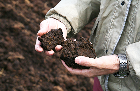 Photo of checking the compost by touch