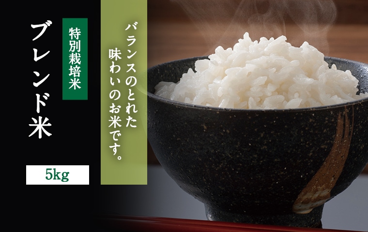 食品/飲料/酒鳥取県産のお米です!