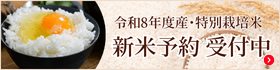 ����8ǯ�ٻ������̺����� ����ͽ�������
