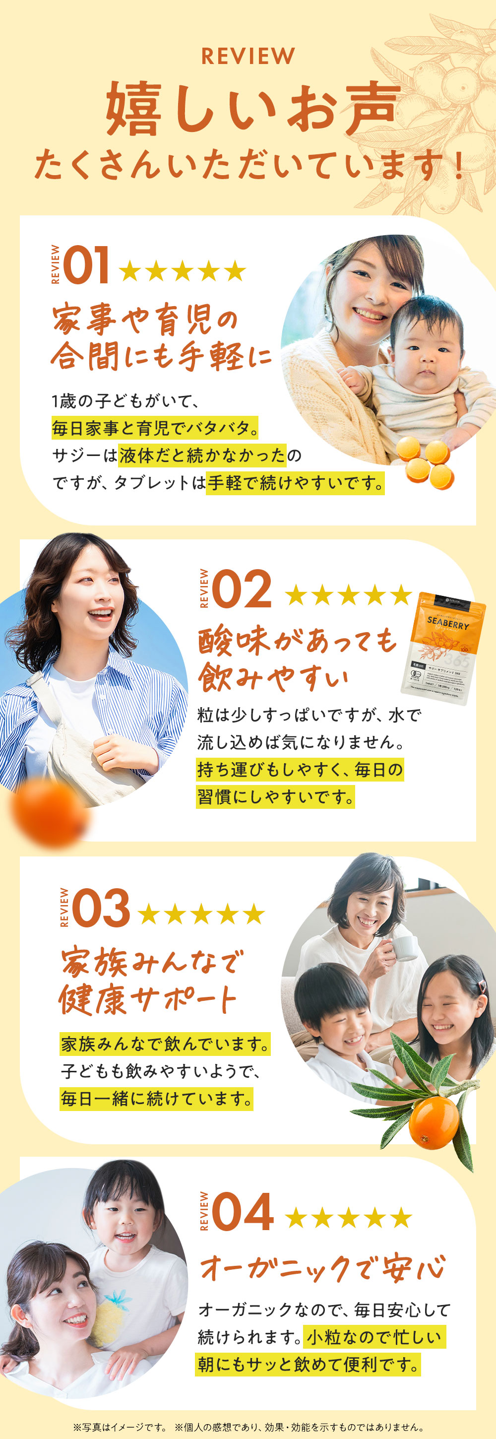 鉄分とリンゴ酸を一緒に摂取することで、鉄分の吸収力をアップできる旨を記載したLP画像。鉄分＋リンゴ酸の図とサジーの木の画像が表示されている。