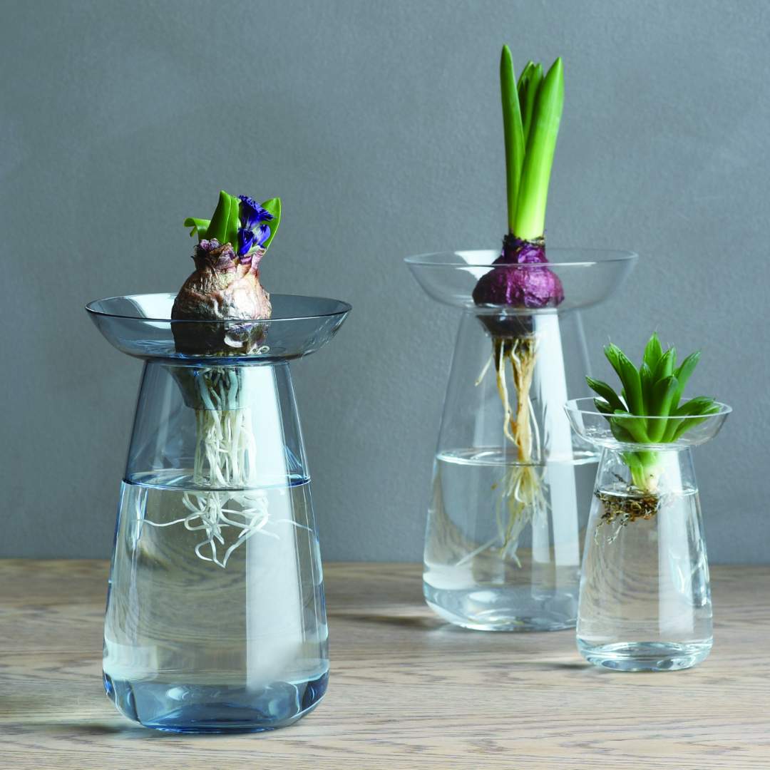 花瓶 KINTO キントー アクアカルチャーベース 120mm ガラス ラウンド フラワーベース 花瓶