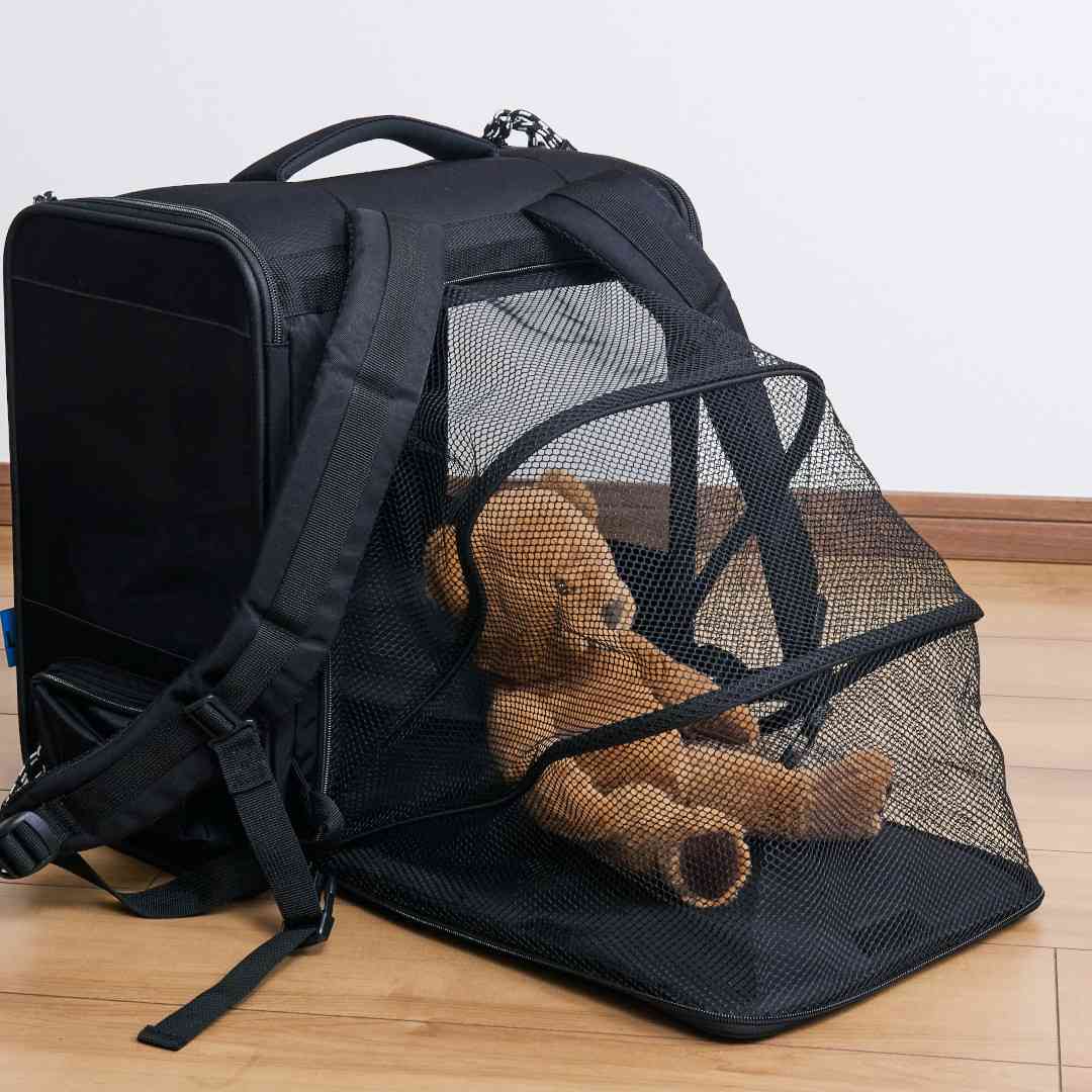 �ޤ����ƥ������ˤ�ʤ���̥ڥåȥ��å� �����ӡ�����ѥ� CBJAPAN