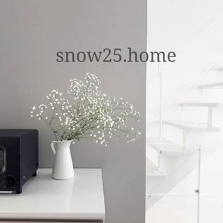 @snow25.home