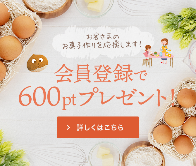 会員登録で500ポイントゲット