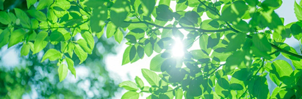 『日々是香日 VOL.21』浄化