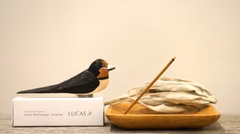 『日々是香日 VOL.21』浄化