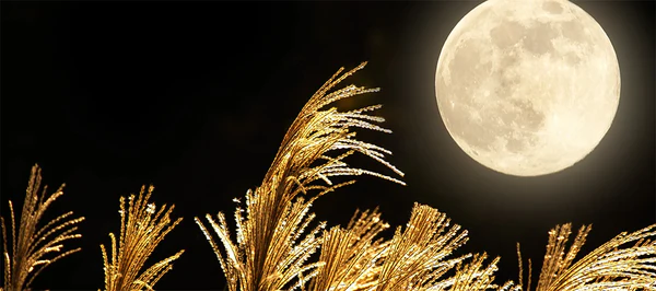 『日々是香日 VOL.22』神無月