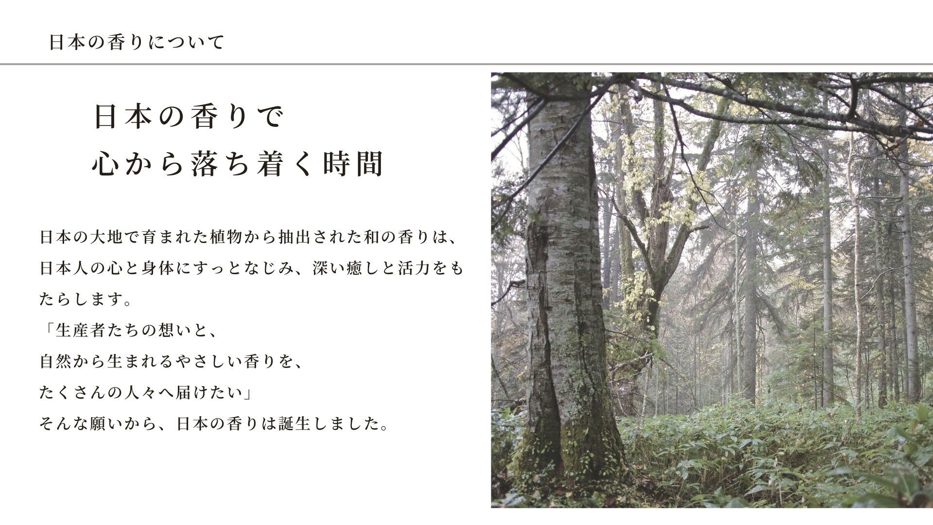 日本の香り アロマ画像5