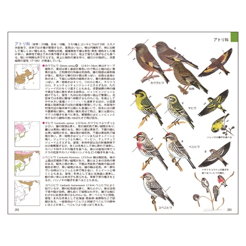 日本野鳥の会 フィールドガイド日本の野鳥 増補改訂新版 ｜ 天体望遠鏡 