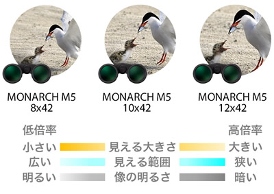 ニコン MONARCH M5（モナークM5） 12x42（2022年11月25日新発売