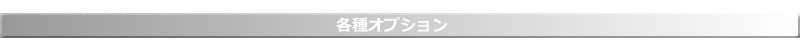 SJ-OPTION-TITLE