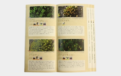 �����ѻ������ɥ֥å��Ͽ��Ǩ��ư¿��Υ��ȡ��󥷡���