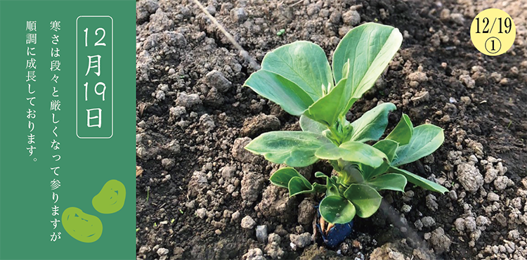 ����Ʀ��������