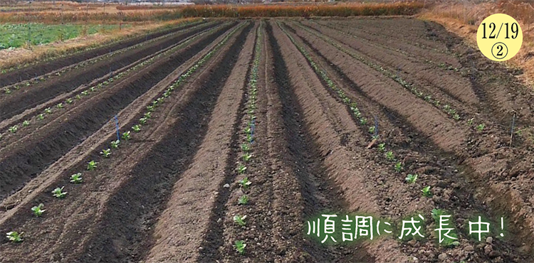 ����Ʀ��������