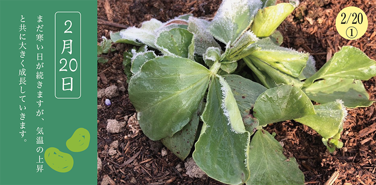 ����Ʀ��������