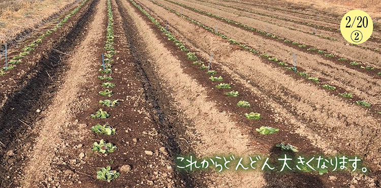 ����Ʀ��������