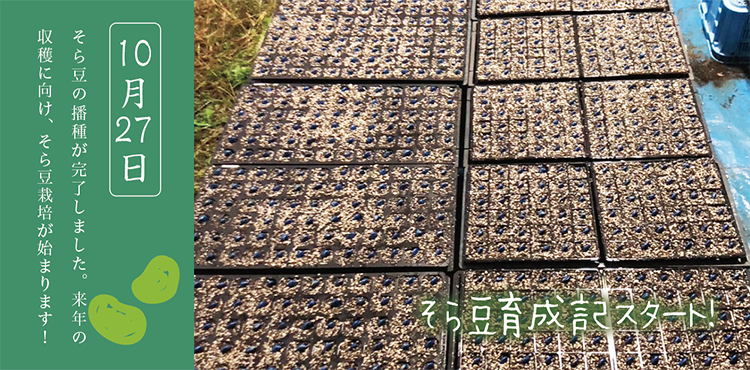 ����Ʀ��������