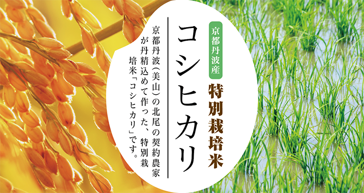 �������̺����ư�������