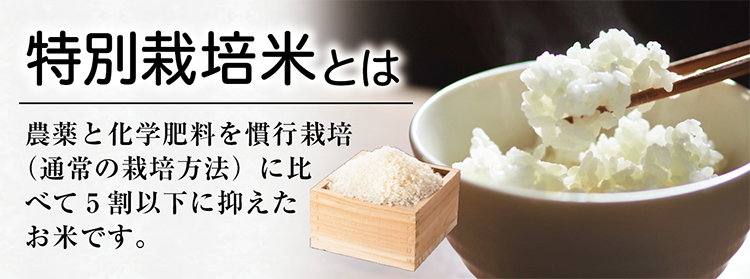 �������̺����ư�������