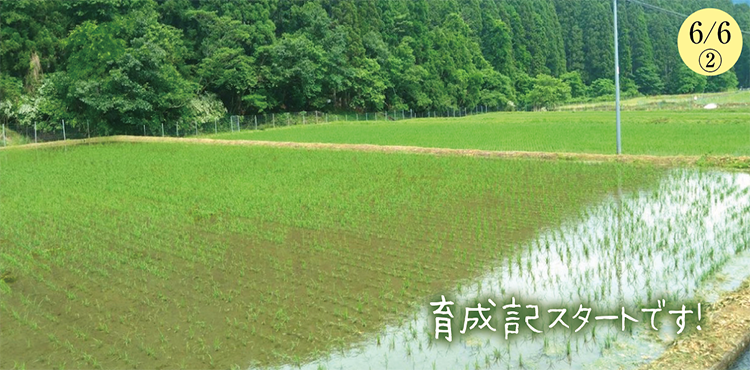 �������̺����ư�������