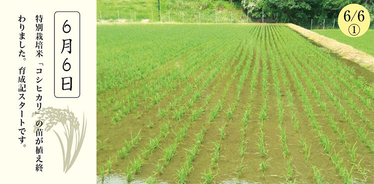 �������̺����ư�������