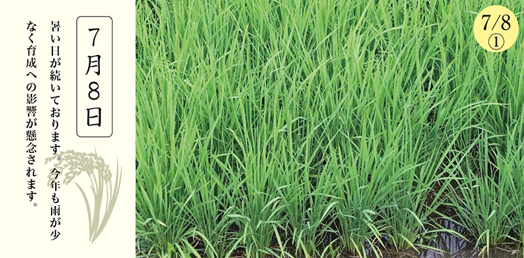 �������̺����ư�������