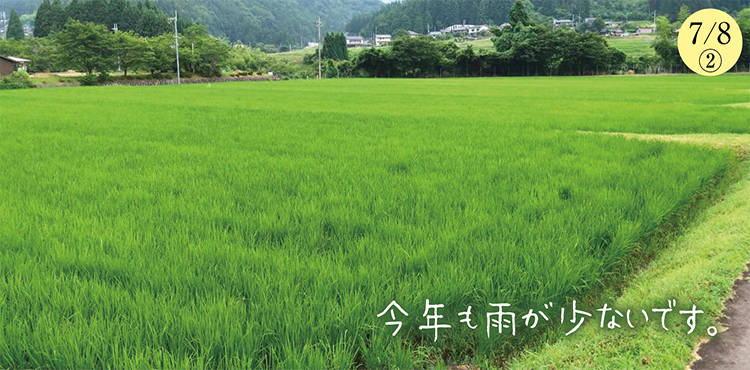 �������̺����ư�������