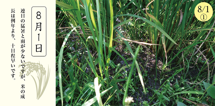 �������̺����ư�������