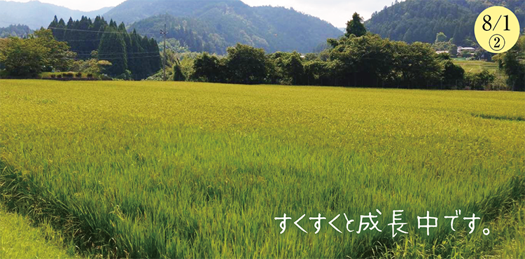 �������̺����ư�������