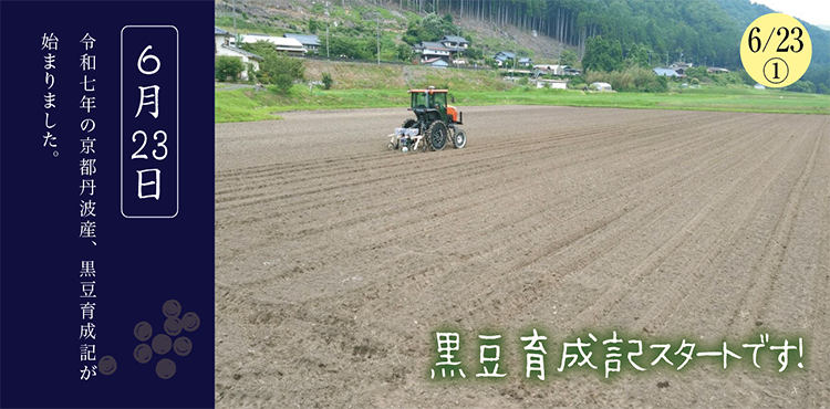 ������Ʀ����������