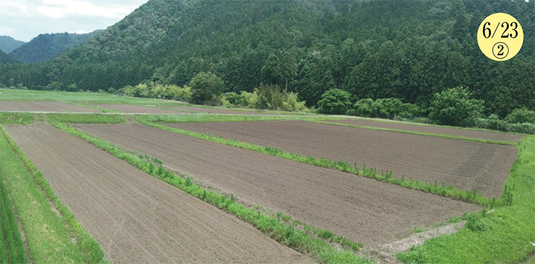 ������Ʀ����������