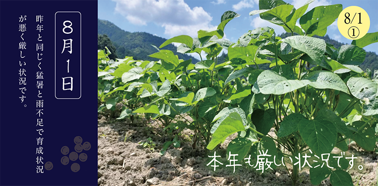 ������Ʀ����������