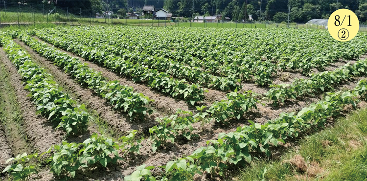 ������Ʀ����������