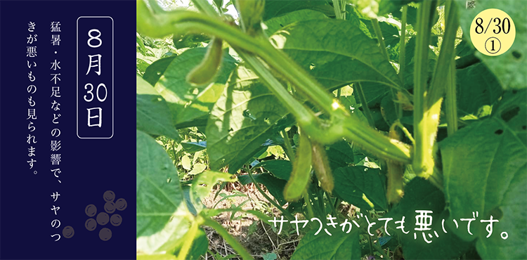 ������Ʀ����������