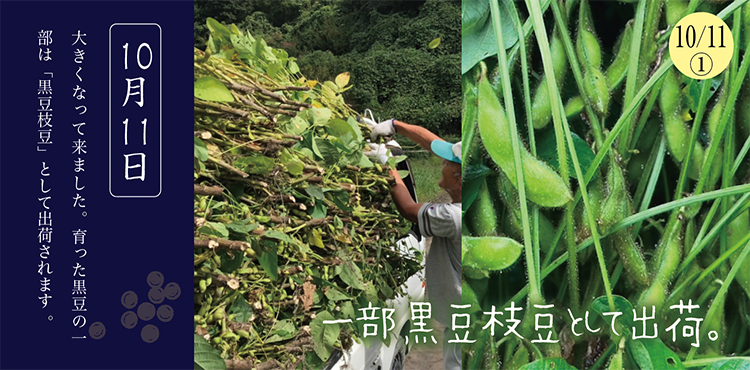 ������Ʀ����������