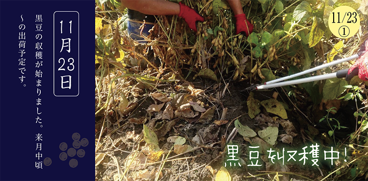 ������Ʀ����������