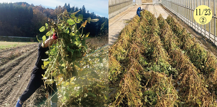 ������Ʀ����������