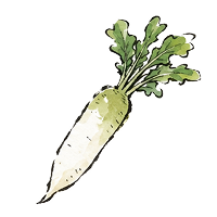 青味大根