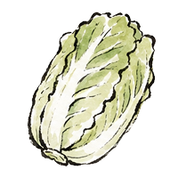 白菜