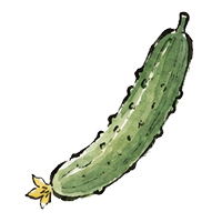 きゅうり