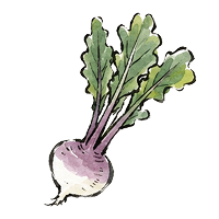 すぐき
