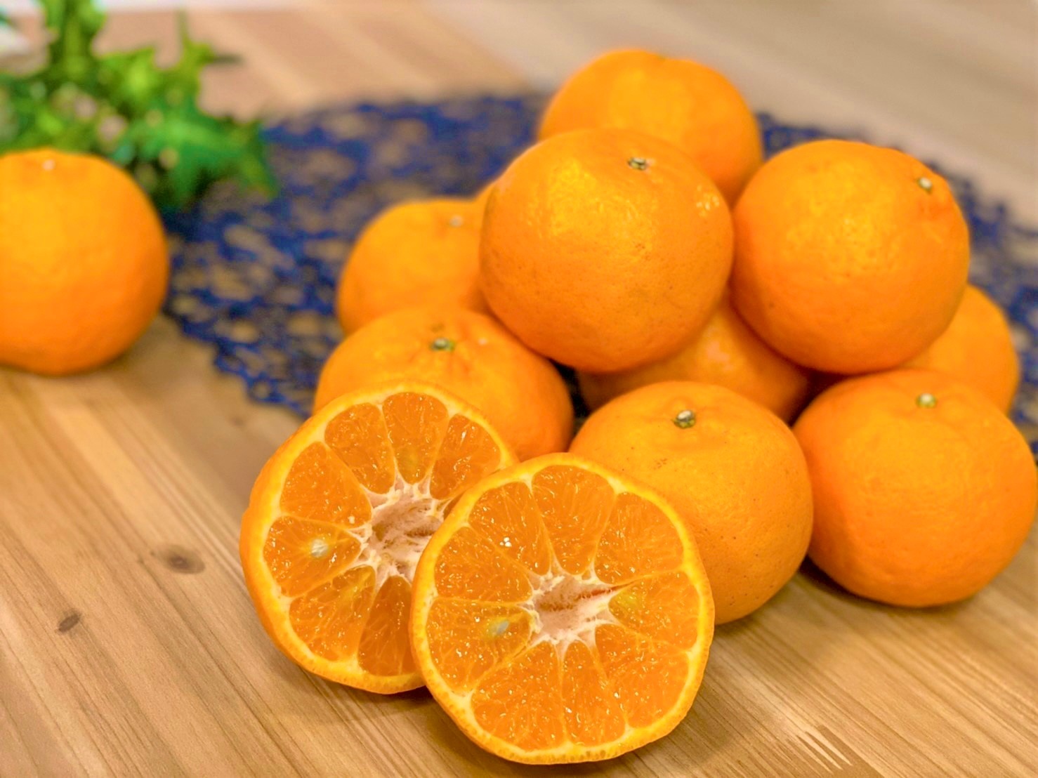 数量限定】かごしま農女の美味しいポンカン(5㎏) | テストカテゴリー