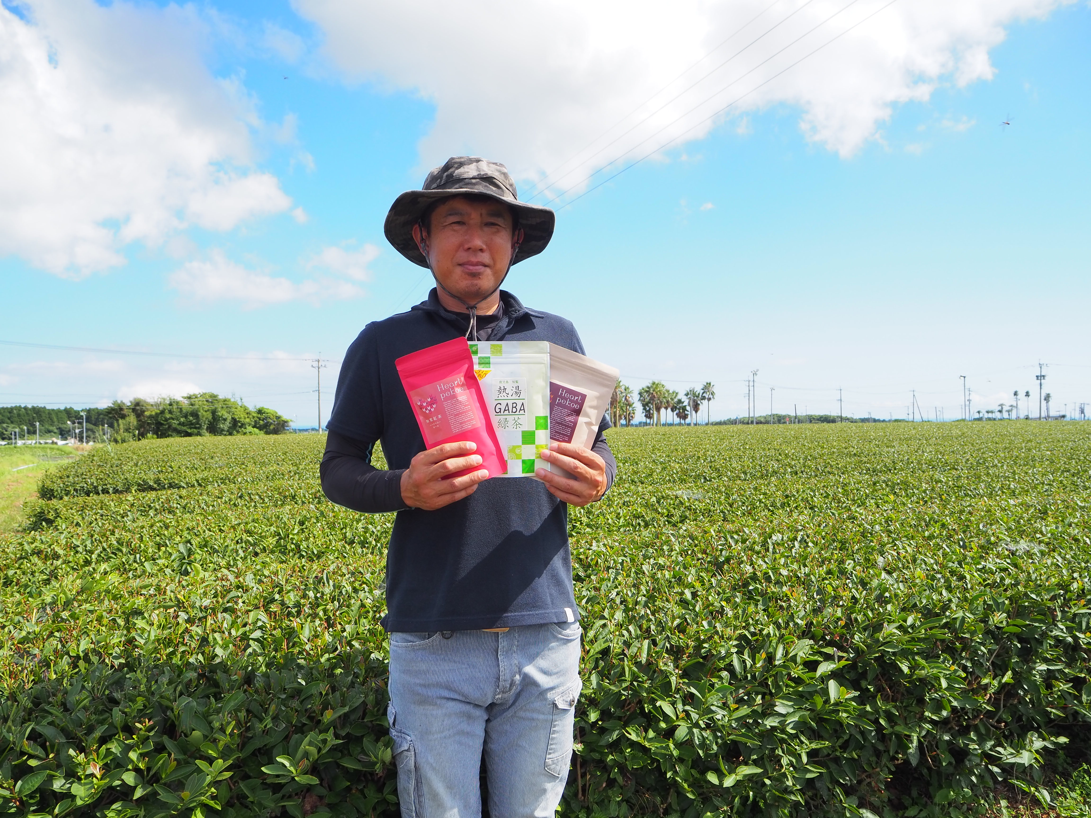 まとめ買い割引有】知覧GABA発酵茶でホッと一息リラックスタイム