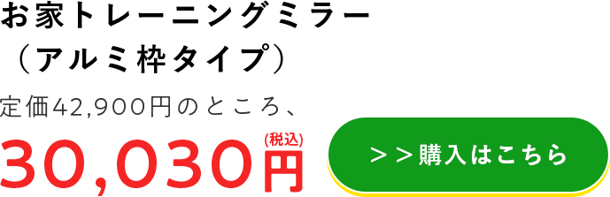 お家トレーニングミラー（アルミ枠タイプ）