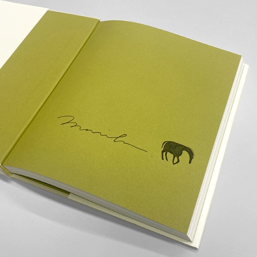 新品❗️平澤まりこ直筆サイン入り限定100部特装版「いつかの森」