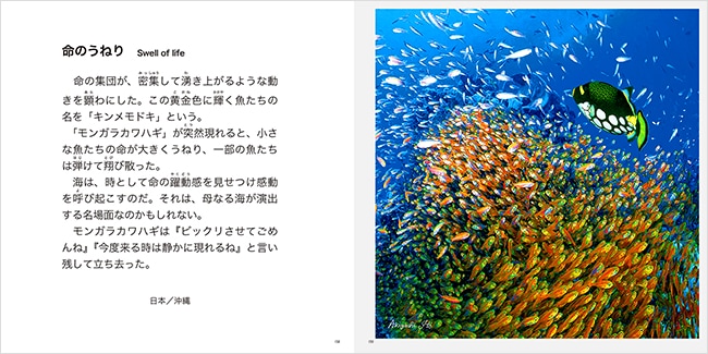 奇跡の海物語 伊東昭義｜求龍堂