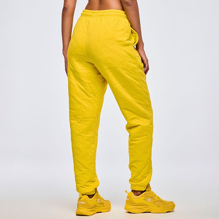 ZUMBA åȥѥ ǥ   ֿ ư䤹륨å Ź